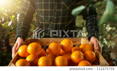 Closeup of Farmer Holding Wooden Crate with Oranges. Closeup of Farmer Holding Wooden Crate with Oranges. 112875739