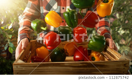 Closeup of Farmer Holding Wooden Crate with Falling Coloured Peppers. Closeup of Farmer Holding Wooden Crate with Falling Coloured Peppers. 112875742