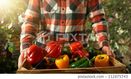 Closeup of Farmer Holding Wooden Crate with Coloured Peppers. Closeup of Farmer Holding Wooden Crate with Coloured Peppers. 112875743