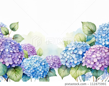 Watercolor hydrangea rainy season June copy space Watercolor hydrangea rainy season June copy space 112875991