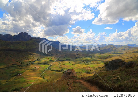 African wildlife 112875999