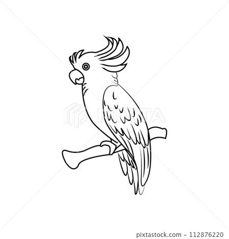 parrot icon parrot icon 112876220