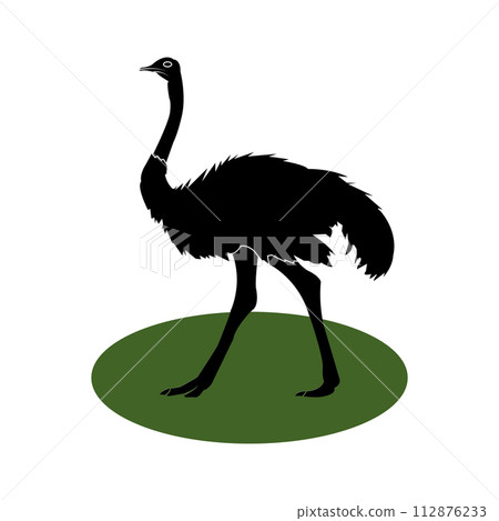 ostrich icon ostrich icon 112876233