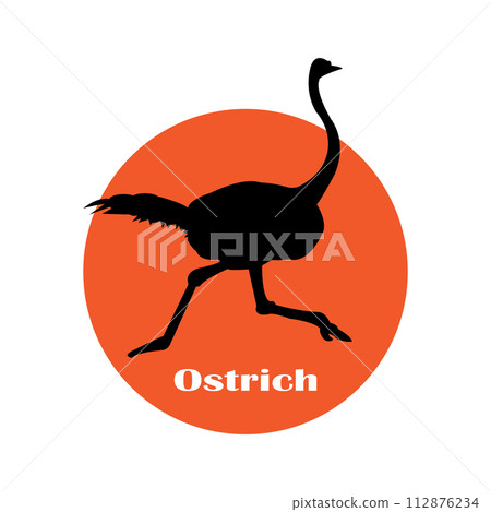 ostrich icon ostrich icon 112876234
