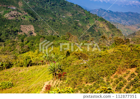 The beautiful Coffee Cultural Landscape of Colombia declared as a World Heritage Site in 2011 112877351