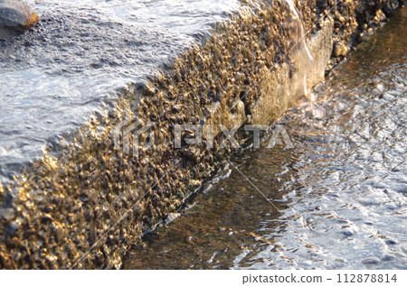 Asahi reflected on the river 112878814