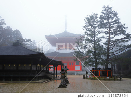 Koyasan Kanemonji寺廟Nemoto大塔 112878864
