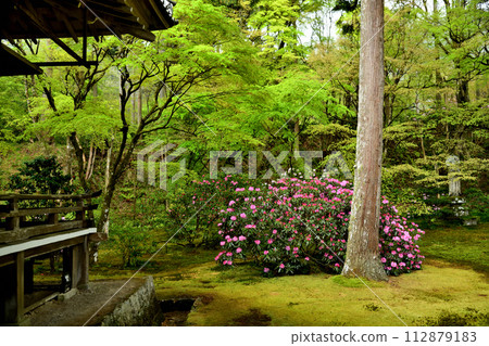 三千院[京都府京都市左京區大原來禦院町] 112879183