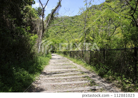Former Fukuchiyama Line abandoned railway line, road where sleepers remain 112881023