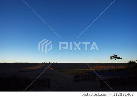 Nakatajima sand dune coastal seawall and a single pine tree at dusk in autumn 112881462