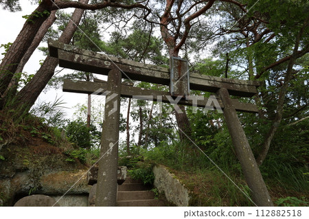 Ojima, Mishima Pearl Inari Daimyojin Torii [Miyagi/Matsushima] 112882518