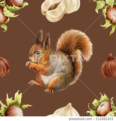 Cute red squirrel with hazelnut elements seamless pattern. Watercolor painted illustration. Hand drawn vintage style squirrel with nuts seamless pattern. Dark hazel background 112882833