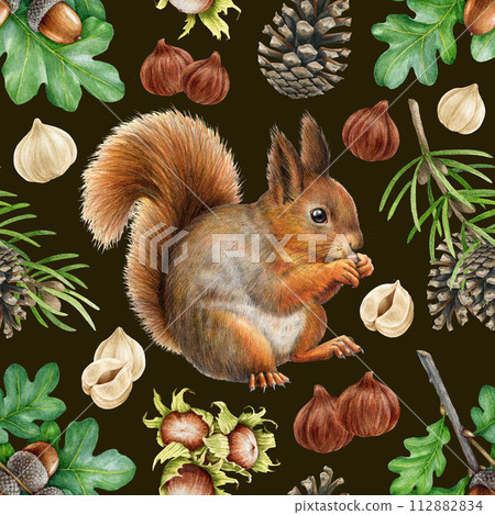 Hand drawn squirrel with nuts, acorn and forest elements seamless pattern. Watercolor painted illustration. Cute red squirrel with hazelnut, cone, acorn elements seamless pattern. Dark background 112882834