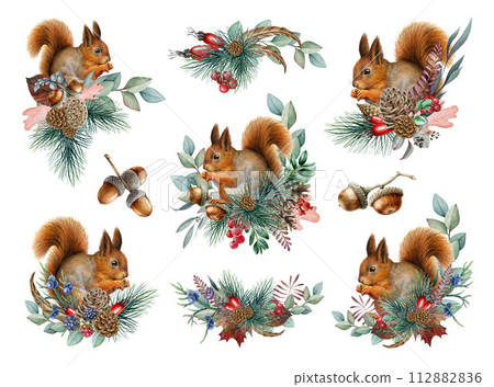 Winter season floral decor set with red squirrel. Vintage style watercolor illustration set. Painted squirrel with pine, eucalyptus, berries decoration collection. Forest animal winter festive decor 112882836