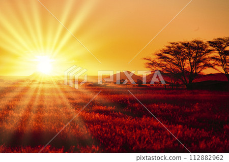 納米布沙漠的美麗夜景 112882962