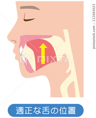 正確的舌頭位置 112883023