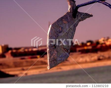 old rusty barbed wire fence in sunset 112883210