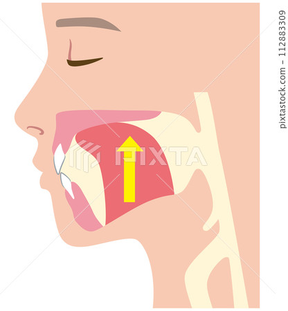 Correct Tongue Position: Mewing Correct Tongue Position: Mewing 112883309