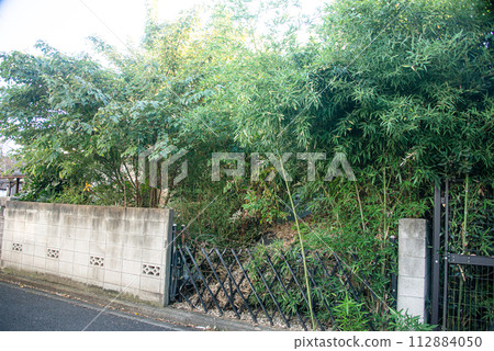 一座空房子的風景，有樹 112884050