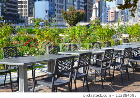 Scenery of Osaka Nakanoshima rose garden 112884593