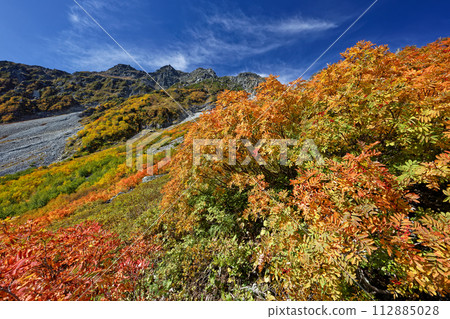 Autumn leaves of Karasawa in the Northern Alps and Mt. Hotaka 112885028