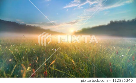 清晨的陽光 112885340