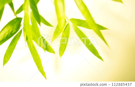 Bamboo leaves background material Bamboo leaves background material 112885437