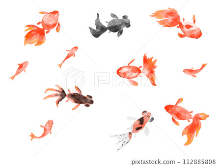 手繪金魚設定水彩風格 手繪金魚設定水彩風格 112885808