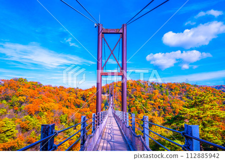 Prefectural Forest Autumn Leaves and Suspension Bridge in Hoshida Garden Prefectural Forest Autumn Leaves and Suspension Bridge in Hoshida Garden 112885942