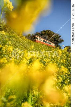 Nanohana和Isumi鐵路 112886187