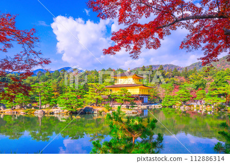 金閣寺（六園寺）的秋葉 112886314