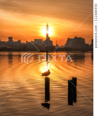 Sunrise at Lake Senba, Mito City, Ibaraki Prefecture 112886450