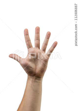 A man's hand raised up shows the number five. 112886887