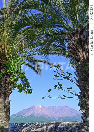 Sakurajima visible between palm trees Sakurajima visible between palm trees 112887321