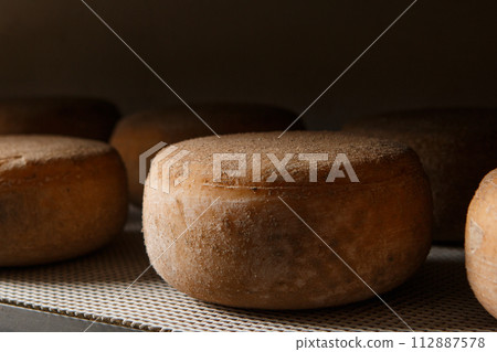 Production of artisanal cheese. In the curing process. 112887578