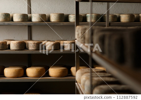 Production of artisanal cheese. In the curing process. 112887592