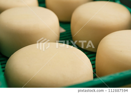 Production of artisanal cheese. In the curing process. 112887594