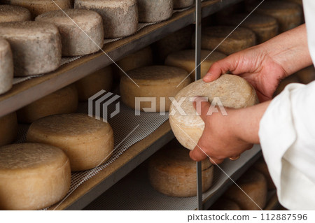 Production of artisanal cheese. In the curing process. 112887596