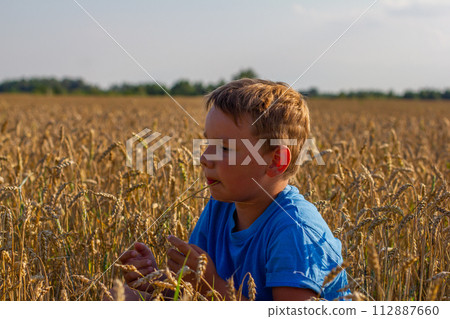 Sitting down to rest in a wheat field in the summer, a child chews a straw. A child admires nature while sitting in a wheat field on a sunny day in summer. Concept of a child in a wheat field. Sitting down to rest in a wheat field in the summer, a child chews a straw. A child admires nature while sitting in a wheat field on a sunny day in summer. Concept of a child in a wheat field. 112887660