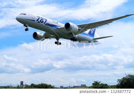 Beautiful takeoff and landing scene of ANA All Nippon Airways at Itami Airport Beautiful takeoff and landing scene of ANA All Nippon Airways at Itami Airport 112887772