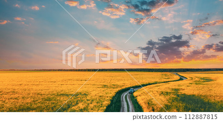 Aerial View Of Car SUV Parked Near Countryside Road In Spring Field Rural Landscape. Flowering Blooming Rapeseed, Oilseed In Field Meadow In Spring Season. Blossom Of Canola Yellow Flowers 112887815