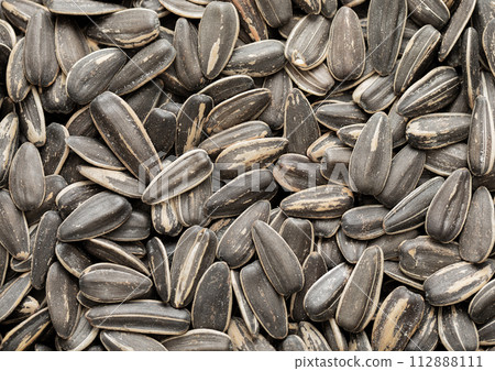 Raw dried salted sunflower seeds top view macro background. Raw dried salted sunflower seeds top view macro background. 112888111