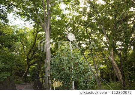 Landscape with green Landscape with green 112890072
