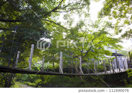 吊橋周圍綠樹環繞 吊橋周圍綠樹環繞 112890076