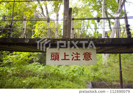 吊橋周圍綠樹環繞 112890079