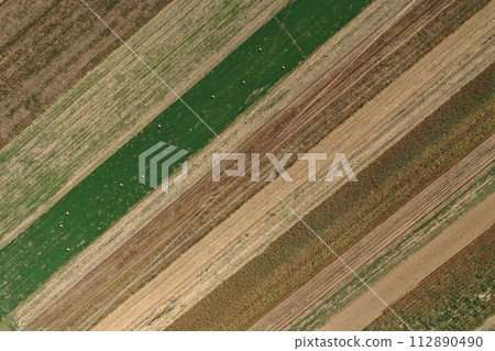 Aerial view of agricultural fields by drone 112890490