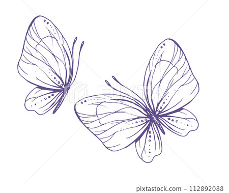 Delicate butterflies with patterns on the wings, simple, sweet, light, romantic. Illustration graphically hand-drawn in lilac ink in line style. Set of isolated EPS vector objects Delicate butterflies with patterns on the wings, simple, sweet, light, romantic. Illustration graphically hand-drawn in lilac ink in line style. Set of isolated EPS vector objects 112892088