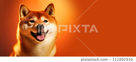 Portrait of Red Shiba Inu Dog on a Yellow and Orange Background - Generative Ai Portrait of Red Shiba Inu Dog on a Yellow and Orange Background - Generative Ai 112892916