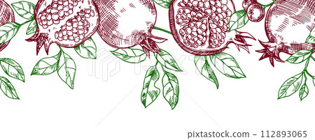 seamless border of fruits and pomegranate leaves, hand drawn in sketch style. 112893065