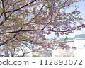 櫻花的風景 112893072